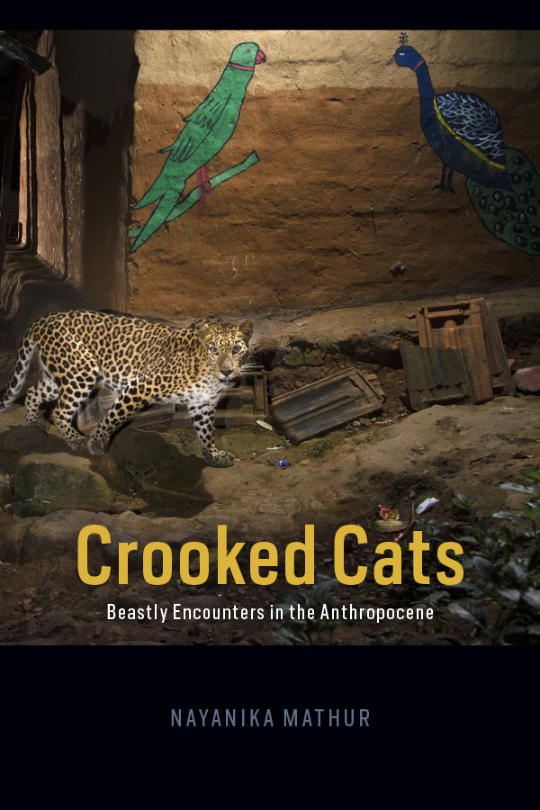 Cover of Crooked Cats